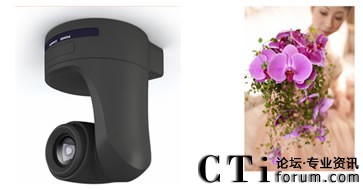 �������^���r��������